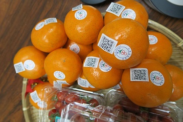 �r(n��ng)�a(ch��n)Ʒ�|(zh��)����ȫ׷��ϵ�y(t��ng)